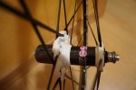 DSC00393.JPG