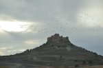 DSC_0181.JPG