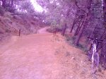 IMG_20140924_151507.jpg