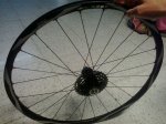 IMG-20141003-WA0016.jpg