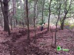 20141004_104628_redimensionar.jpg