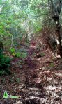 IMG-20141004-WA0015.jpg