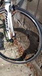 IMG-20141005-WA0007.jpg