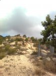 Imagen3104.jpg