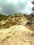 Imagen3106.jpg