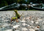 IMG_20141006_183439.jpg