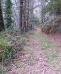 CAM00909-1.jpg