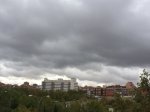 IMG_4972.JPG