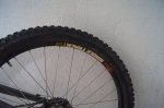 DSC08683 - copia.JPG