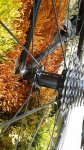 20141007_122139.jpg