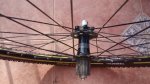 IMG_20141007_105655735.jpg