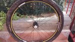 IMG_20141007_105643639.jpg
