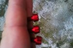 IMG-20141007-WA0009.jpg
