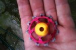 IMG-20141007-WA0016.jpg