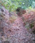 CAM00901-1.jpg