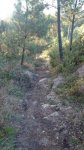IMG-20140926-WA0017.jpg
