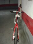 scott (1).jpg