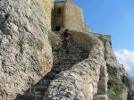 morella2.jpg