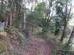 20141003_181051 (640x480).jpg