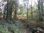 20141003_181114 (640x480).jpg
