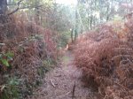 20141003_182518 (640x480).jpg