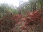 20141004_172843 (640x480).jpg