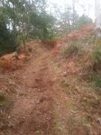 20141004_182131 (480x640).jpg
