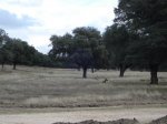 DSC00103.JPG