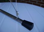 DSC08256.JPG