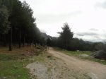 DSC03420.JPG