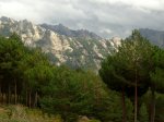 DSC03430.JPG