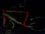 IMG_33909975068619.jpeg
