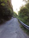 13072007823_resize.jpg