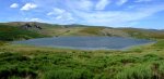 Laguna_peces (Medium).jpg