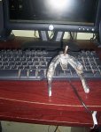 000_2252.JPG