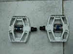 DSC00804.JPG
