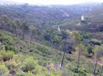Imagen029as.jpg