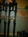 DSC05068.JPG