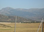 IMG_1271.jpg