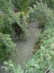 DSC00121.JPG