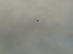 20141012_164318.jpg