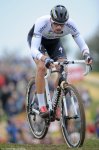 ronse-stybarbig.jpg