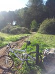 20141008_102127.jpg