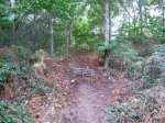 CAM00950.jpg