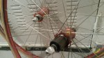 20141009_095819.jpg
