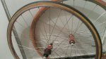 20141009_095836.jpg