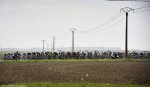 tours14-fieldbig.jpg