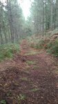 IMG-20140923-WA0007.jpg