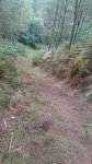 IMG-20140923-WA0011.jpg