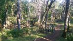 IMAG0397.jpg